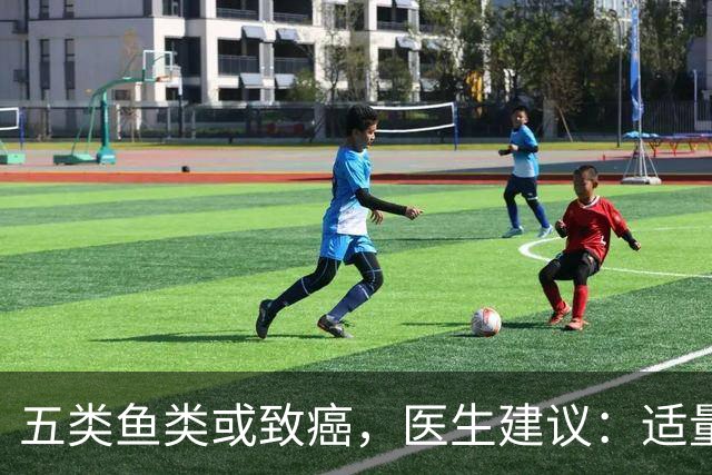 五类鱼类或致癌，医生建议：适量摄入，谨慎处理